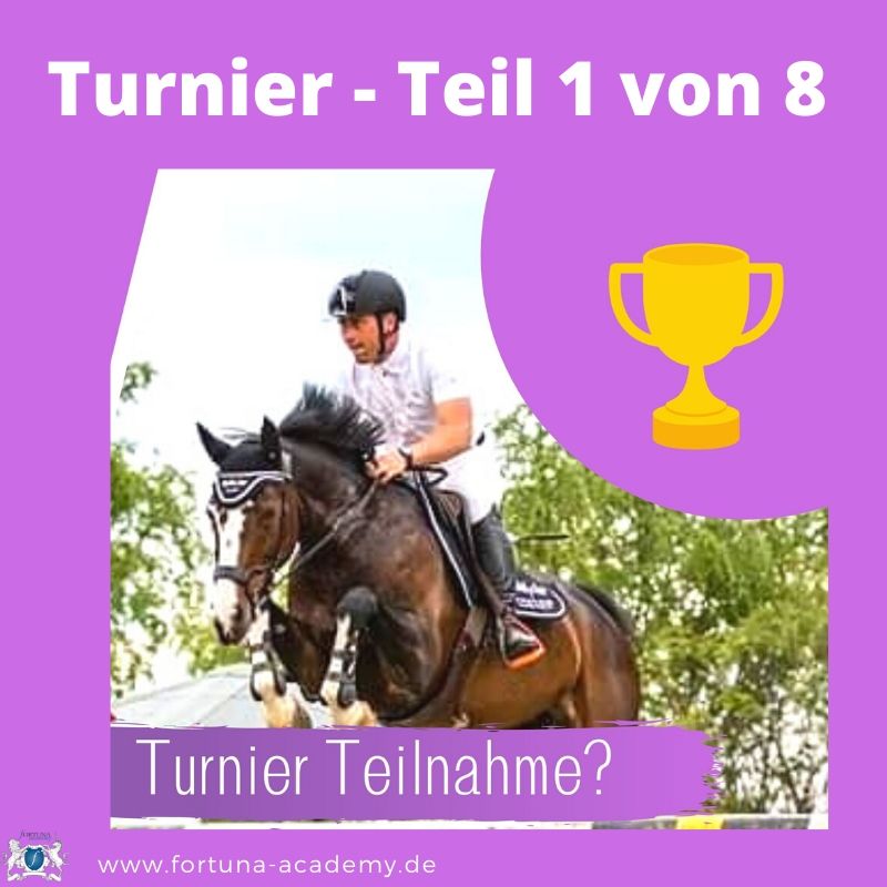 Was braucht man um an einem FN Dressur- / Springturnier 🏇🏽teilzunehmen? 🎤Timo Freise ⭐️ Teil 1 /8