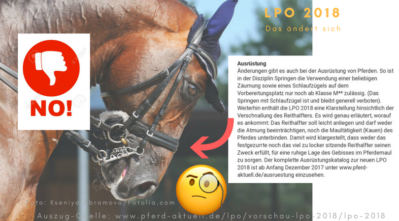 Rund ums Pferd - Klaudia Skodnik