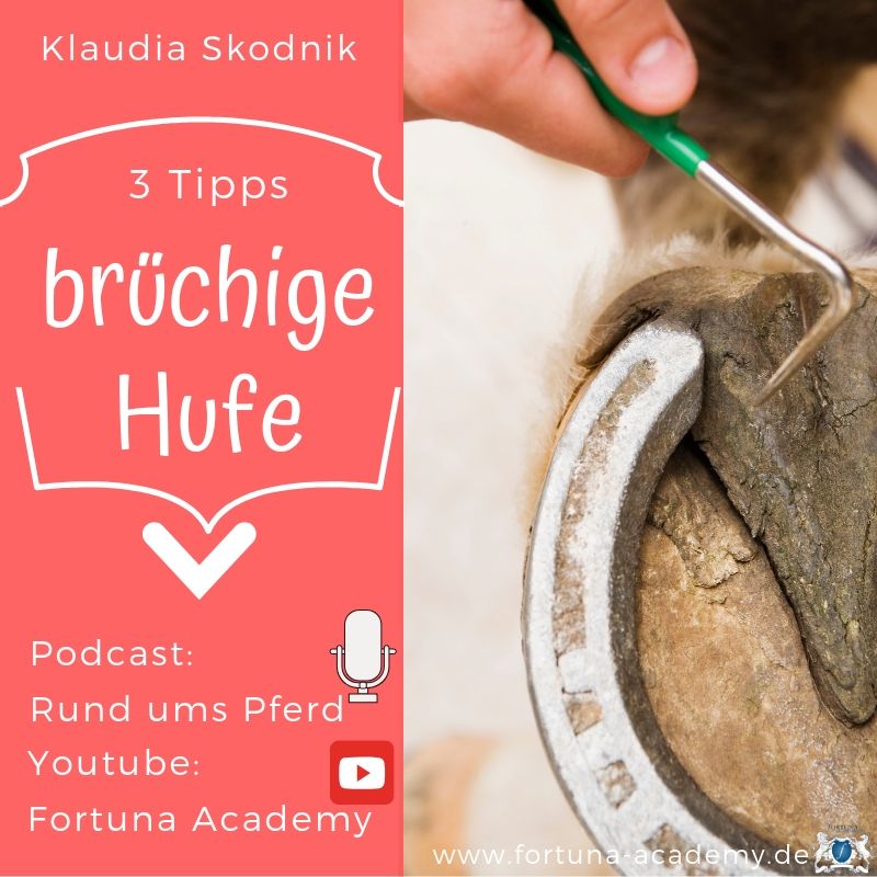 Rund ums Pferd - Klaudia Skodnik