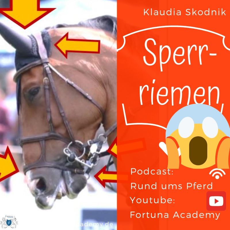 Rund ums Pferd - Klaudia Skodnik