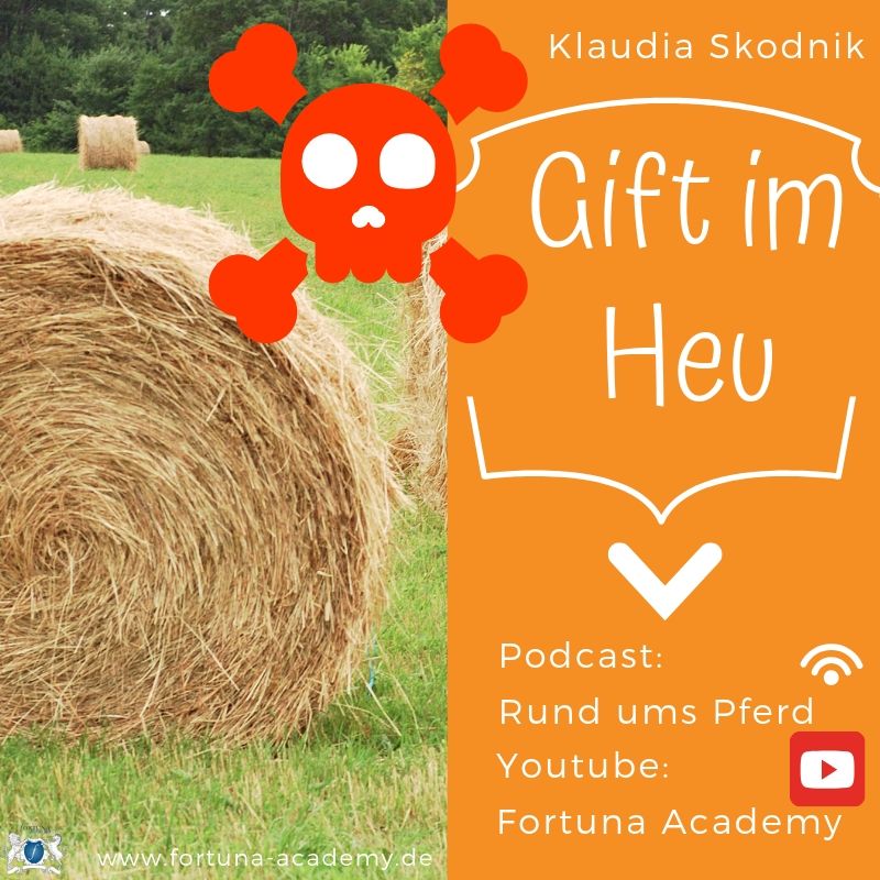 Rund ums Pferd - Klaudia Skodnik