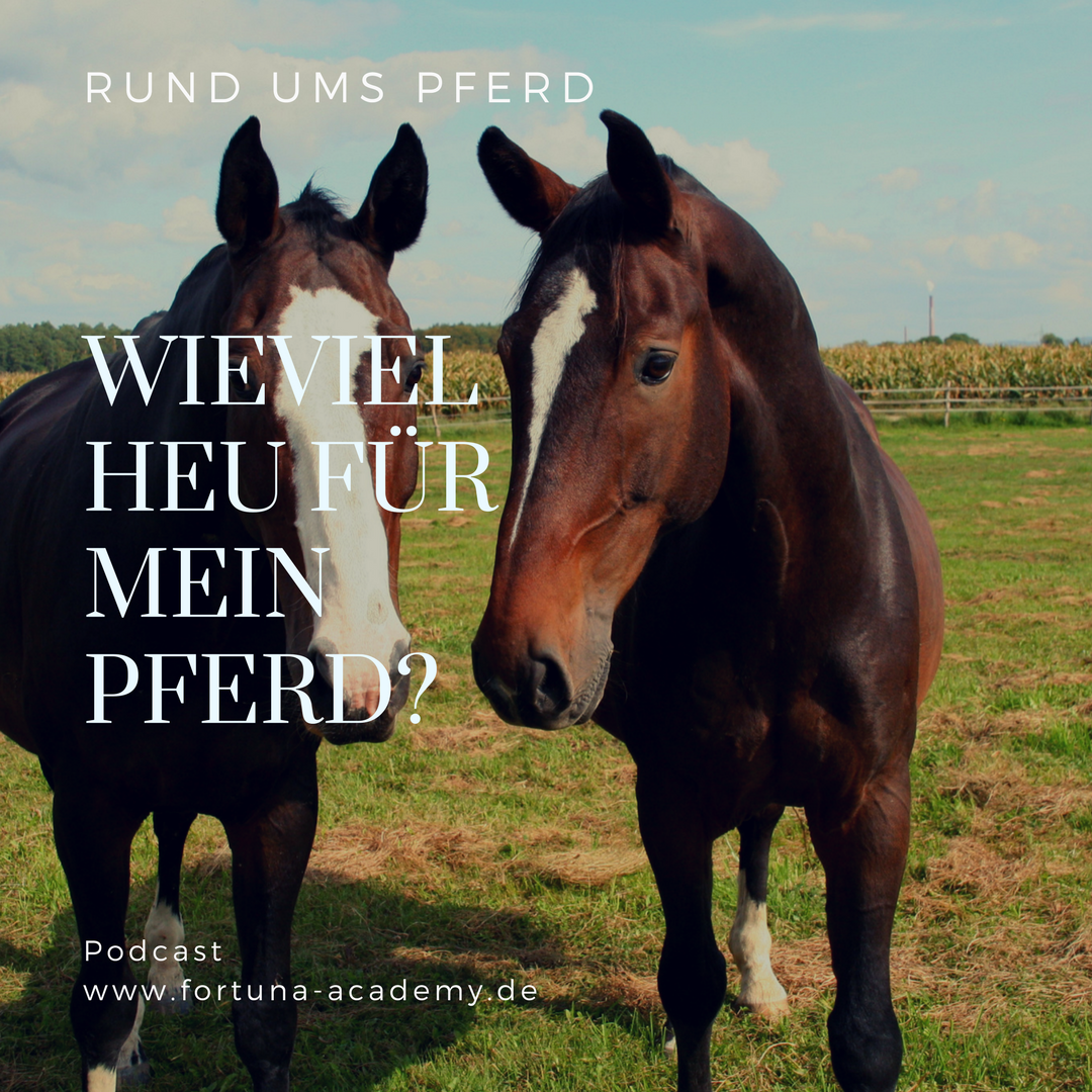 Rund ums Pferd - Klaudia Skodnik