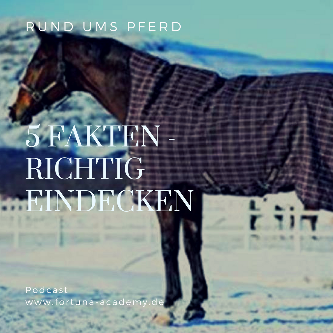 Rund ums Pferd - Klaudia Skodnik