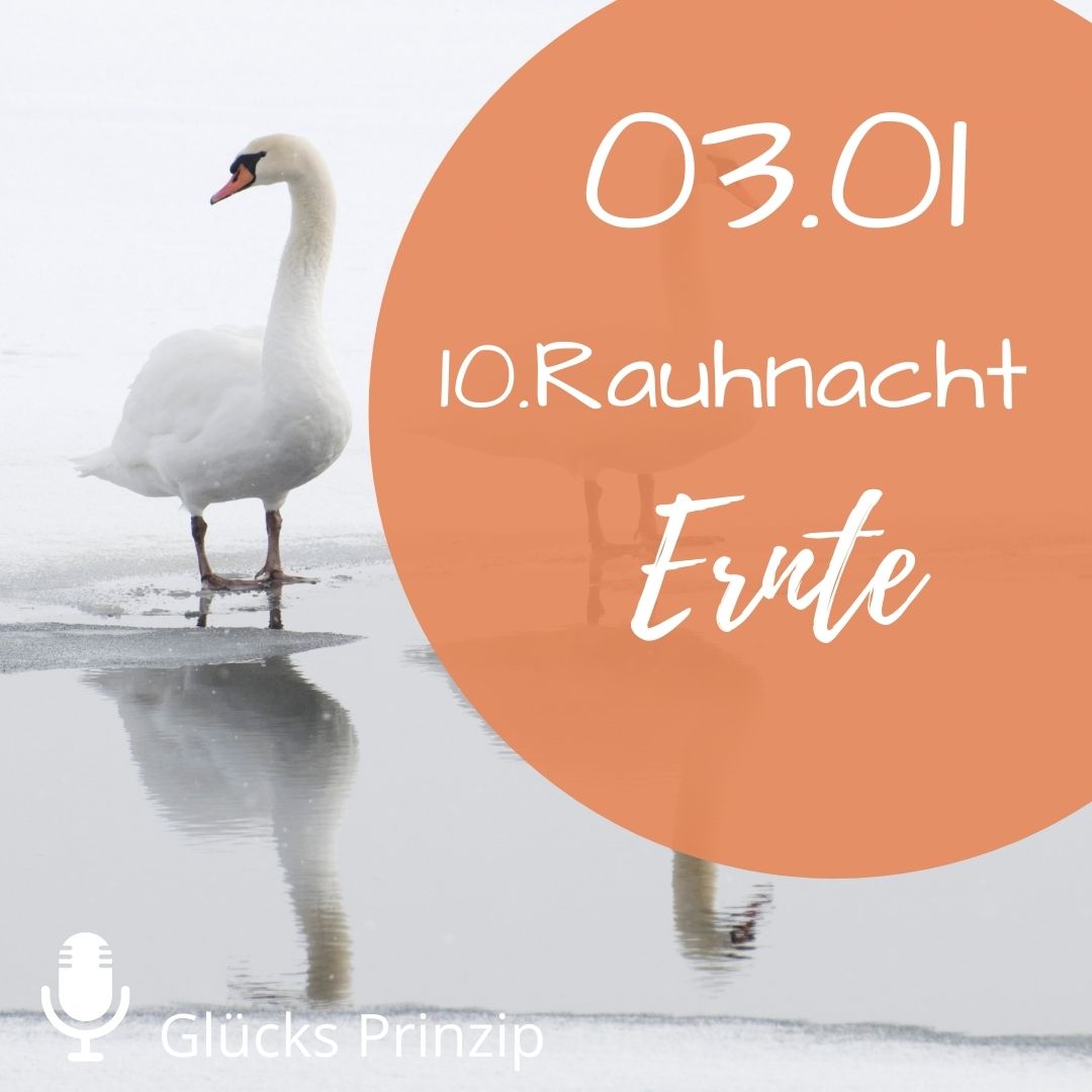 GLÜCKs Prinzip - Du lebst um glücklich zu sein